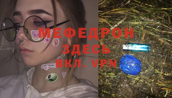 шишки Аркадак