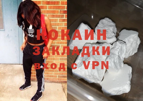 шишки Аркадак