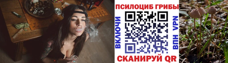 Псилоцибиновые грибы Psilocybe  Белинский 